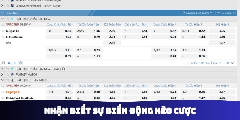 Nhận biết sự biến động kèo cược