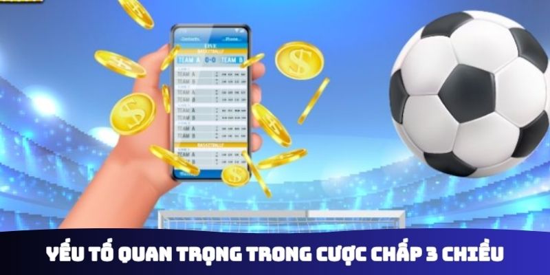 Yếu tố quan trọng trong cược chấp 3 chiều