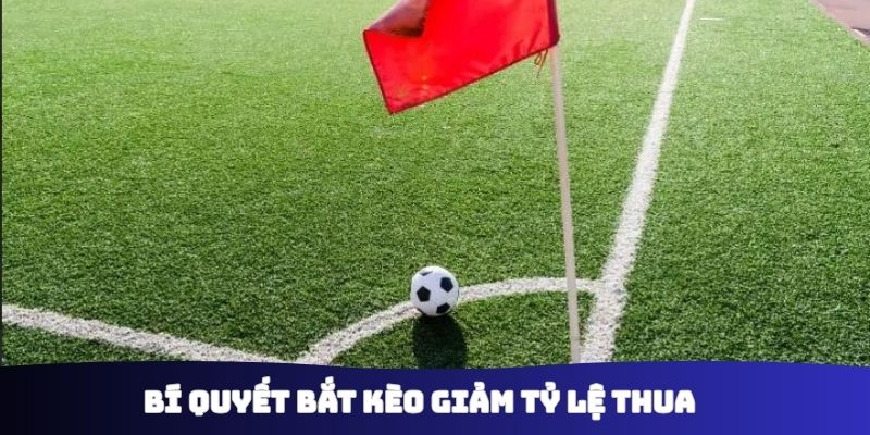 Bí quyết bắt kèo giảm tỷ lệ thua